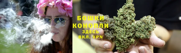 спиды Медвежьегорск