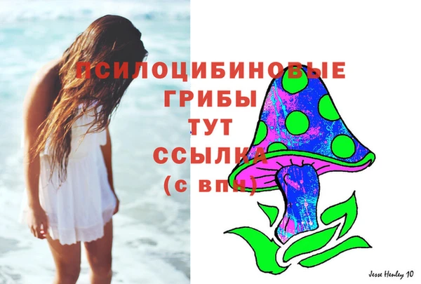 герыч Снежинск